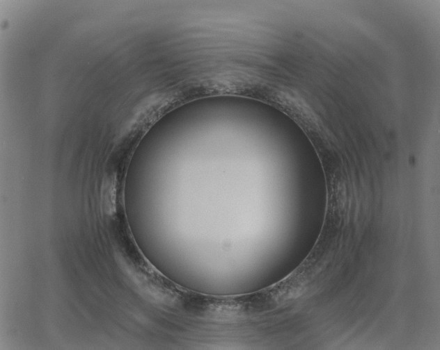 X0000062830694200601201613