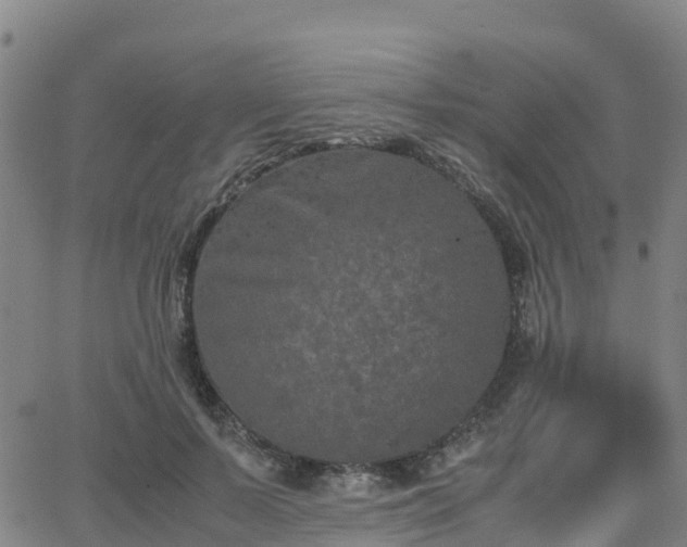 X0000062830695200601201613