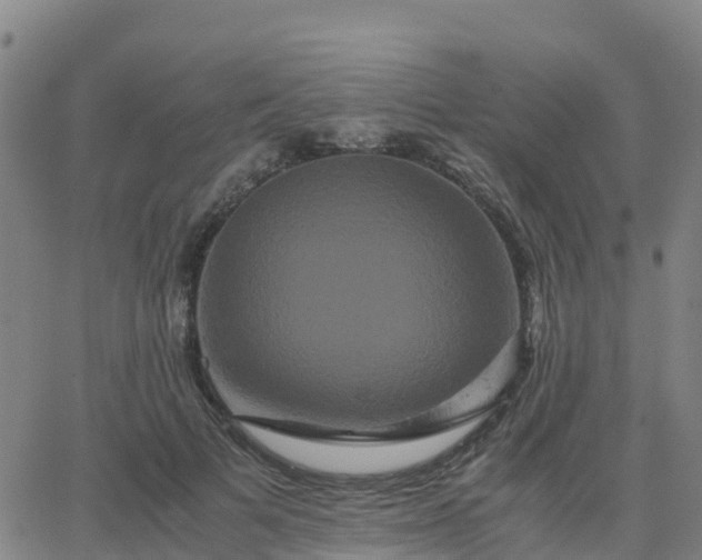 X0000062830697200601201613