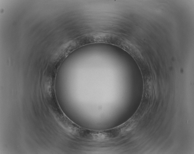 X0000062830698200601201613