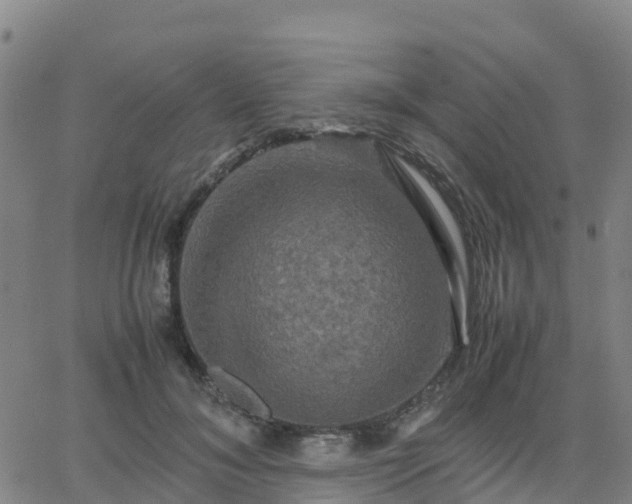 X0000062830700200601201613