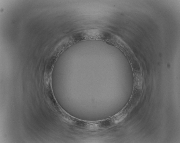 X0000062830701200601201613