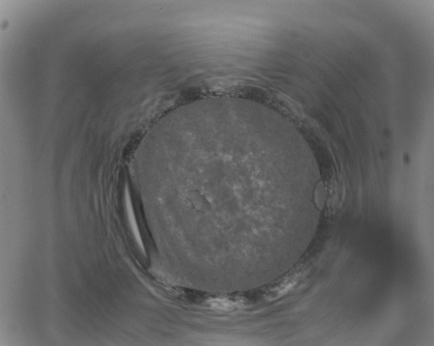 X0000062830703200601201613