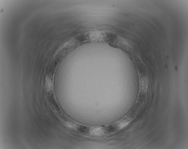 X0000062830705200601201613