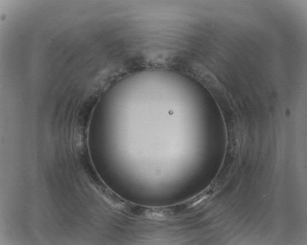 X0000062830706200601201613