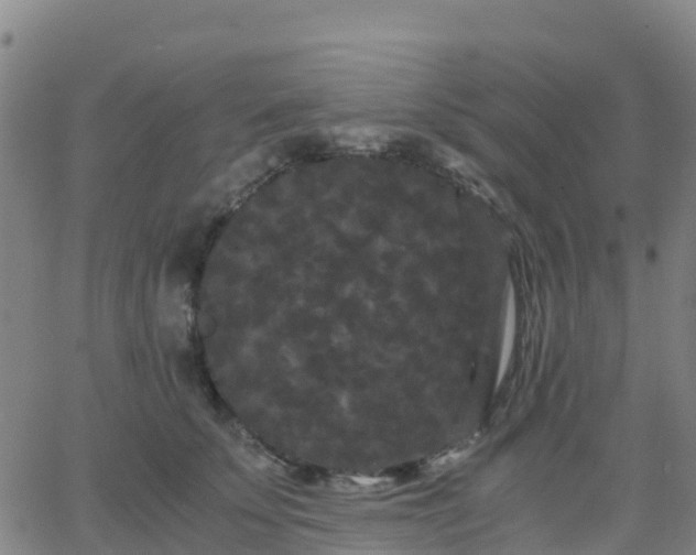 X0000062830707200601201613