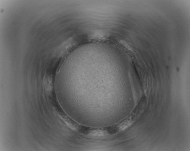 X0000062830708200601201613