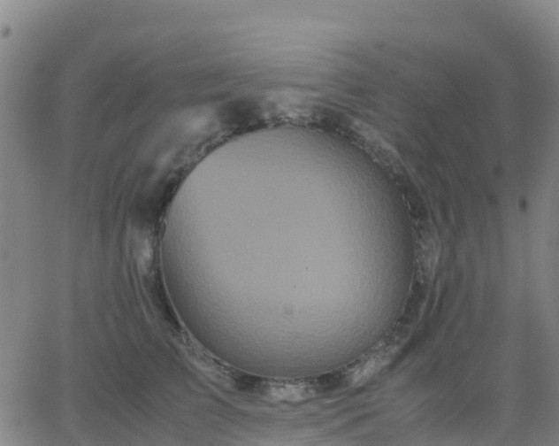 X0000062830709200601201613