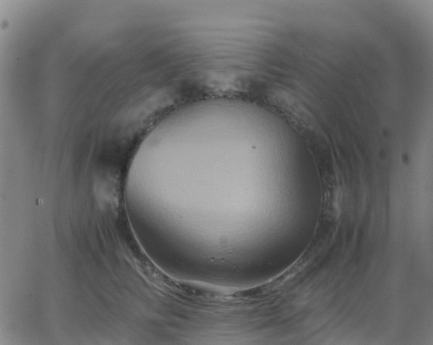 X0000062830710200601201613