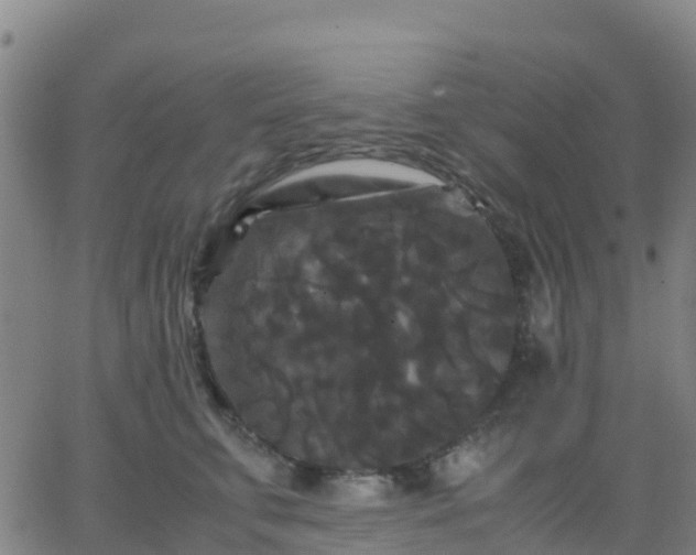 X0000062830711200601201613