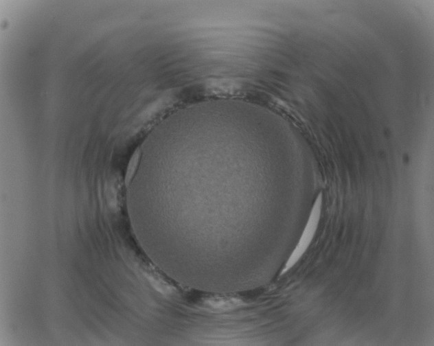 X0000062830712200601201613