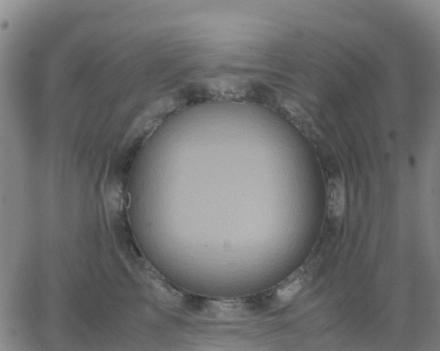 X0000062830713200601201613