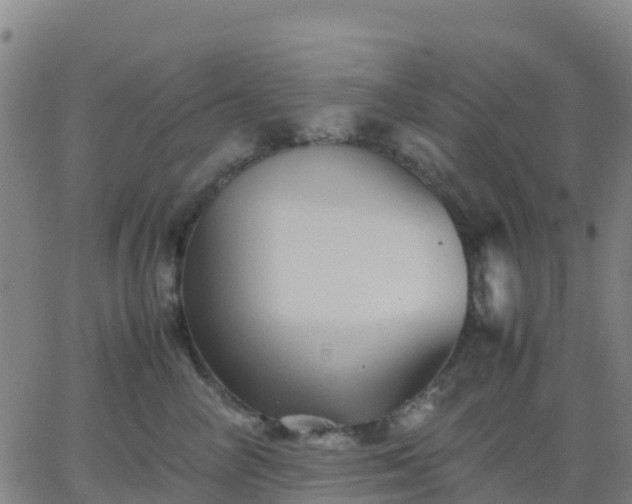 X0000062830714200601201613