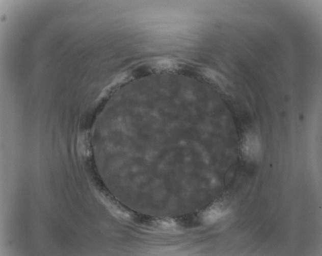 X0000062830715200601201613