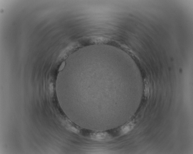 X0000062830716200601201613