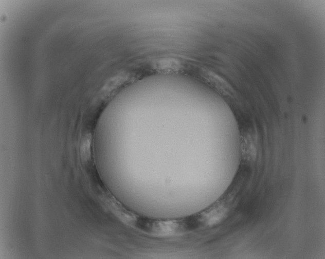 X0000062830717200601201613