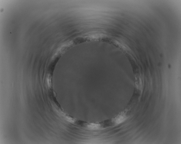 X0000062830718200601201613