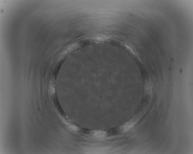 X0000062830719200601201613