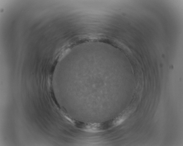 X0000062830720200601201613