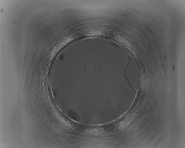 X0000062830721200601201612