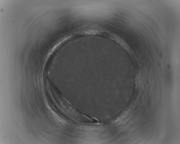 X0000062830722200601201612