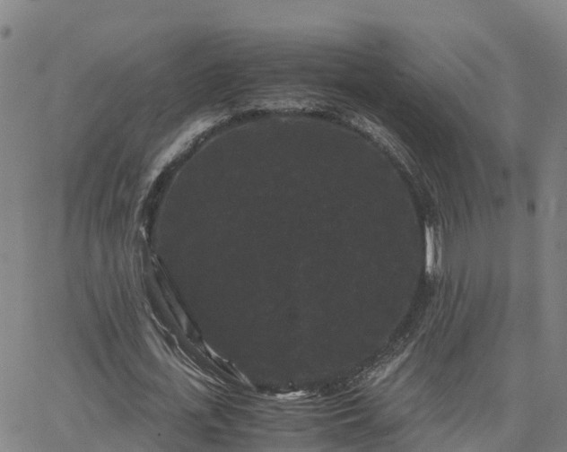 X0000062830723200601201612