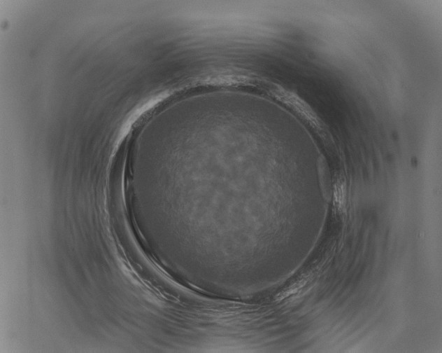 X0000062830724200601201612