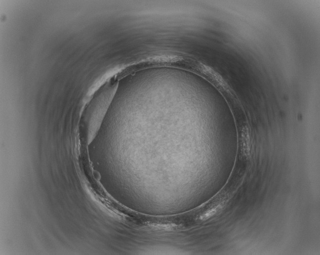 X0000062830726200601201612