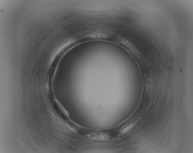 X0000062830727200601201612