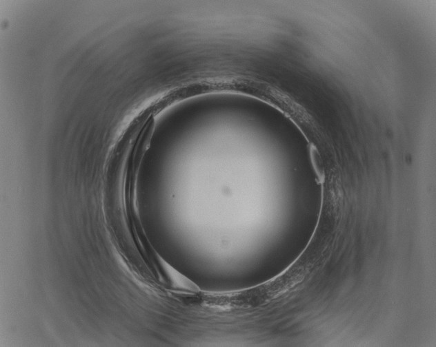 X0000062830728200601201612