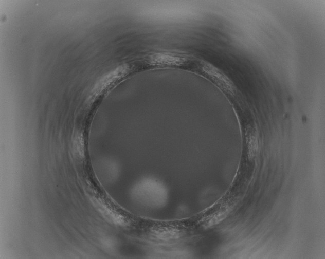 X0000062830729200601201612