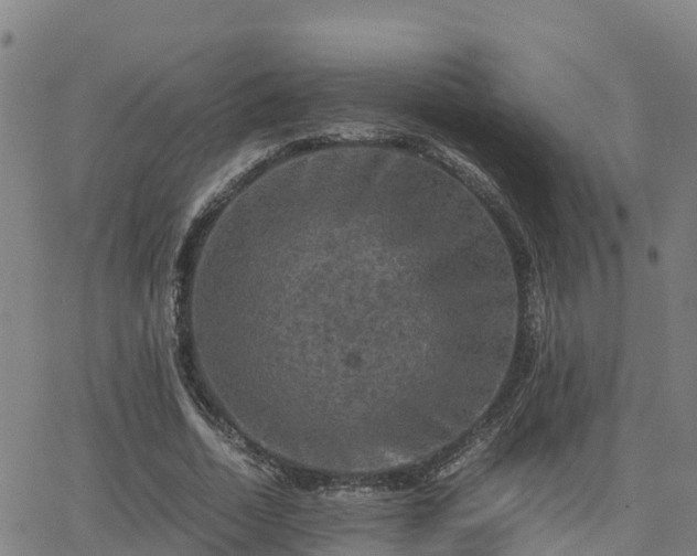 X0000062830730200601201612