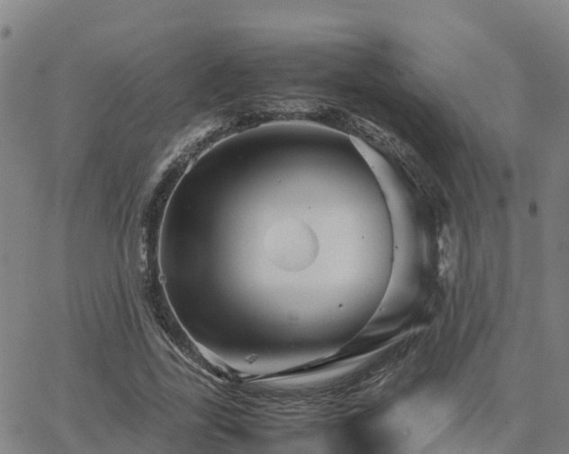 X0000062830731200601201612