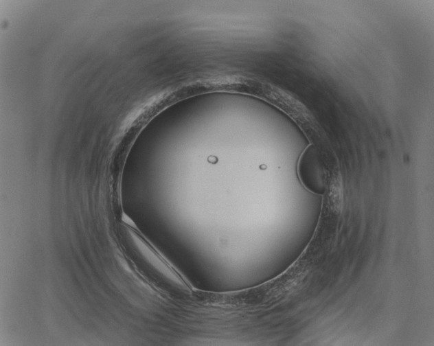 X0000062830732200601201612