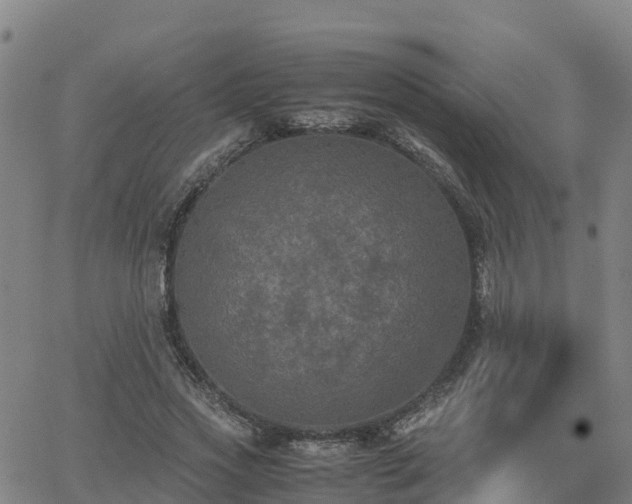 X0000062830733200601201612