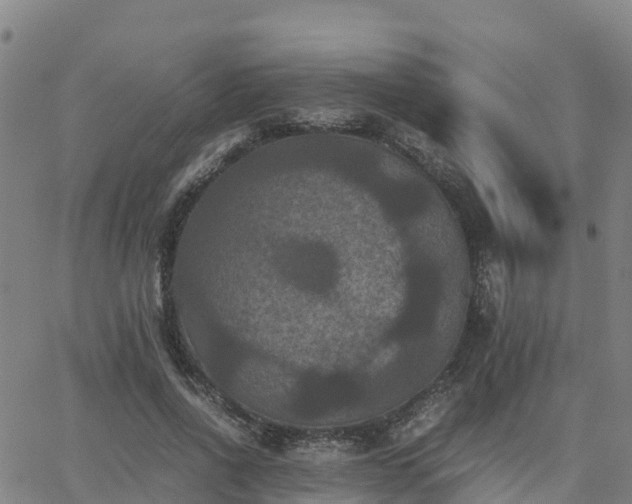 X0000062830734200601201612