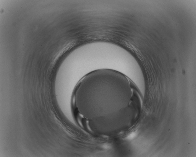 X0000062830735200601201612