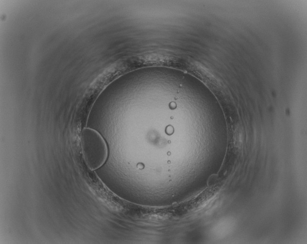 X0000062830737200601201612