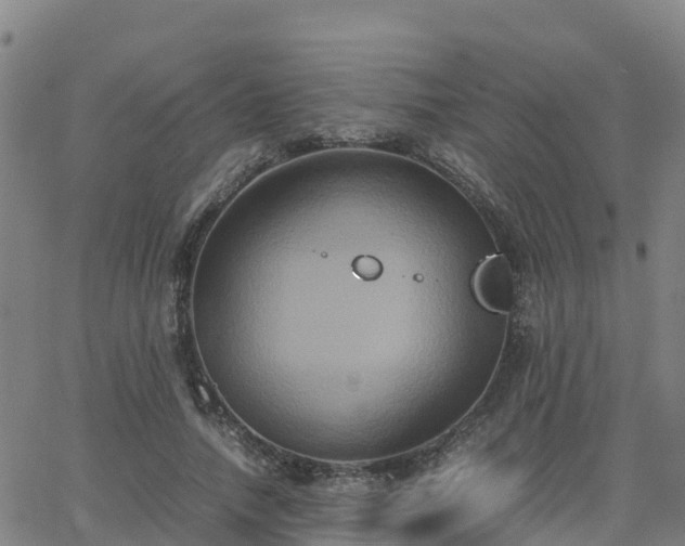 X0000062830738200601201612