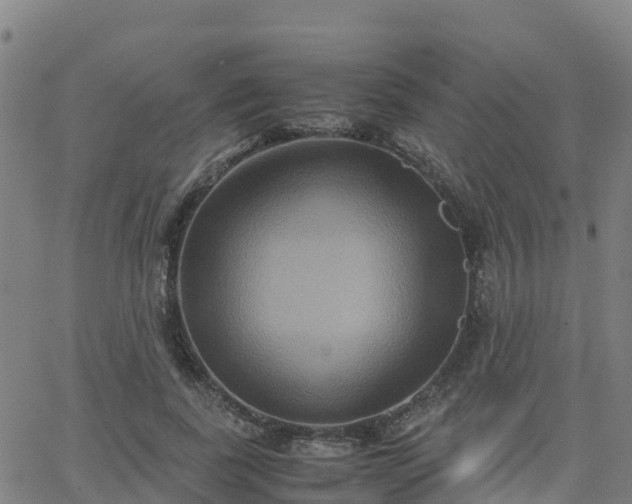 X0000062830739200601201612