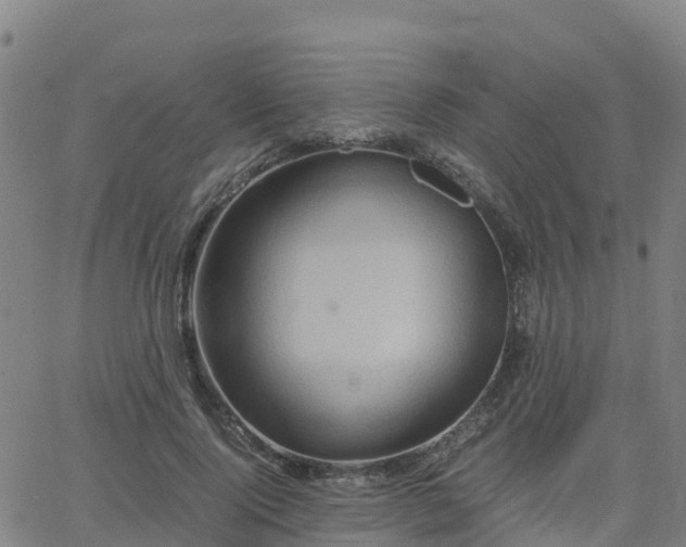 X0000062830740200601201612