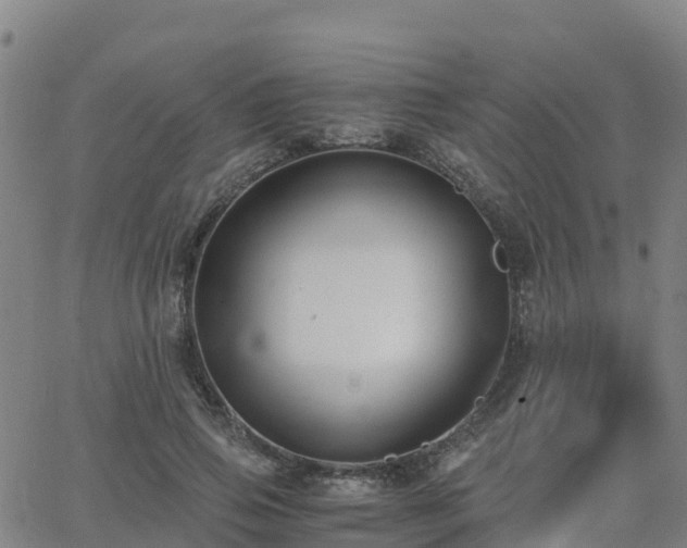 X0000062830741200601201612