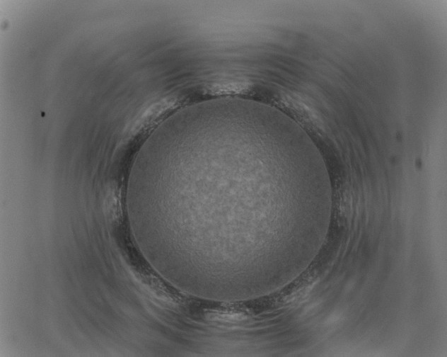 X0000062830743200601201612