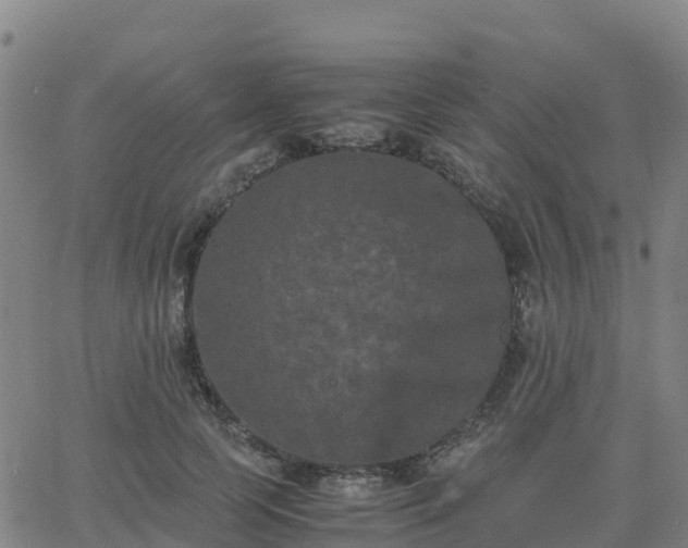 X0000062830745200601201612