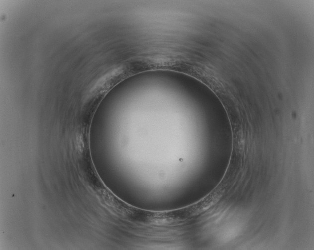 X0000062830746200601201612