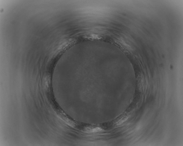 X0000062830747200601201612