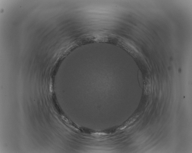 X0000062830748200601201612