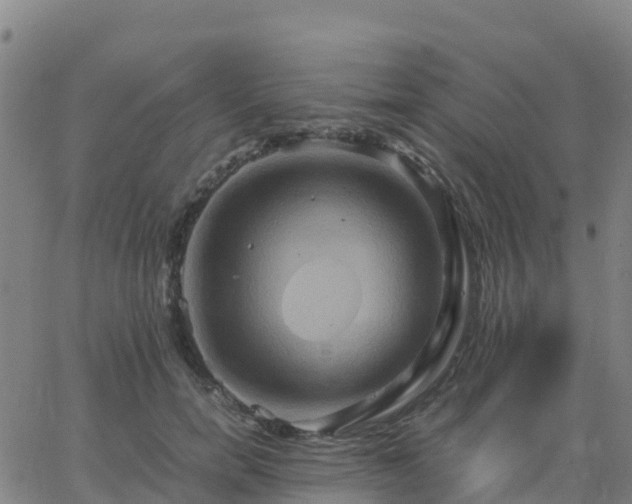 X0000062830750200601201612