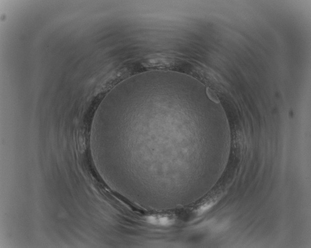 X0000062830751200601201612