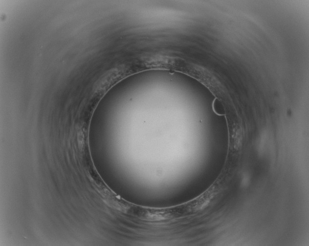 X0000062830753200601201612